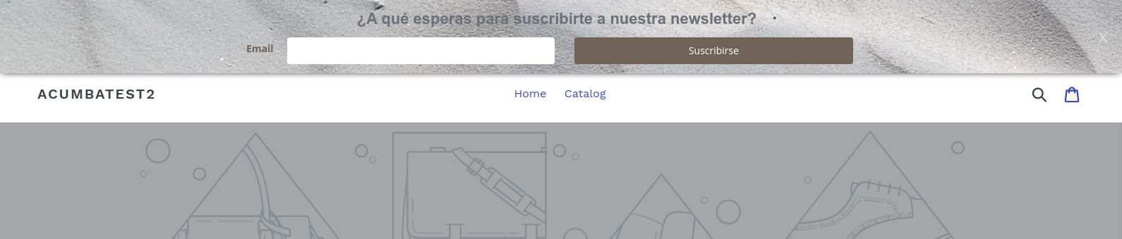 Mostrando formulario en las páginas de Shopify